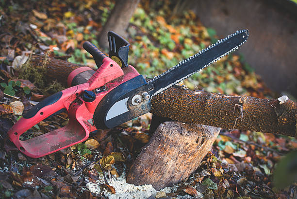 Best Seasonal Cleanup (Spring/Fall)  in Emmett, ID